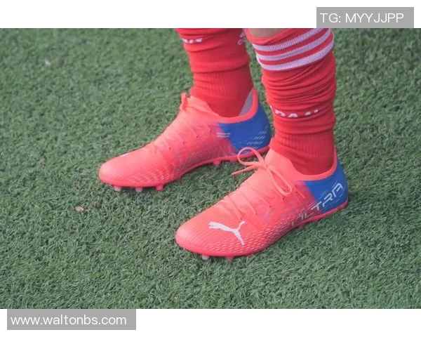 小球星足球鞋综合评测及性能分析